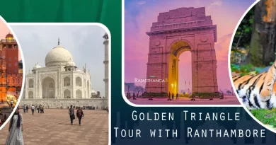 golden-triangle-tour-with-ranthambore-Taxi